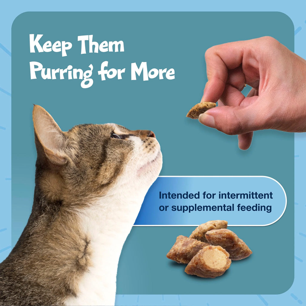 Bursts Crunchy & Creamy Cat Treats for Training - Savory Seafood Flavor, 12-Ounce Tub
