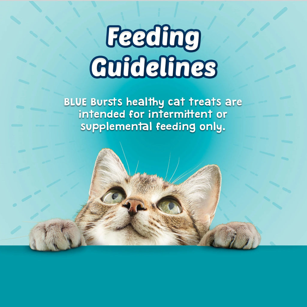 Bursts Crunchy & Creamy Cat Treats for Training - Savory Seafood Flavor, 12-Ounce Tub